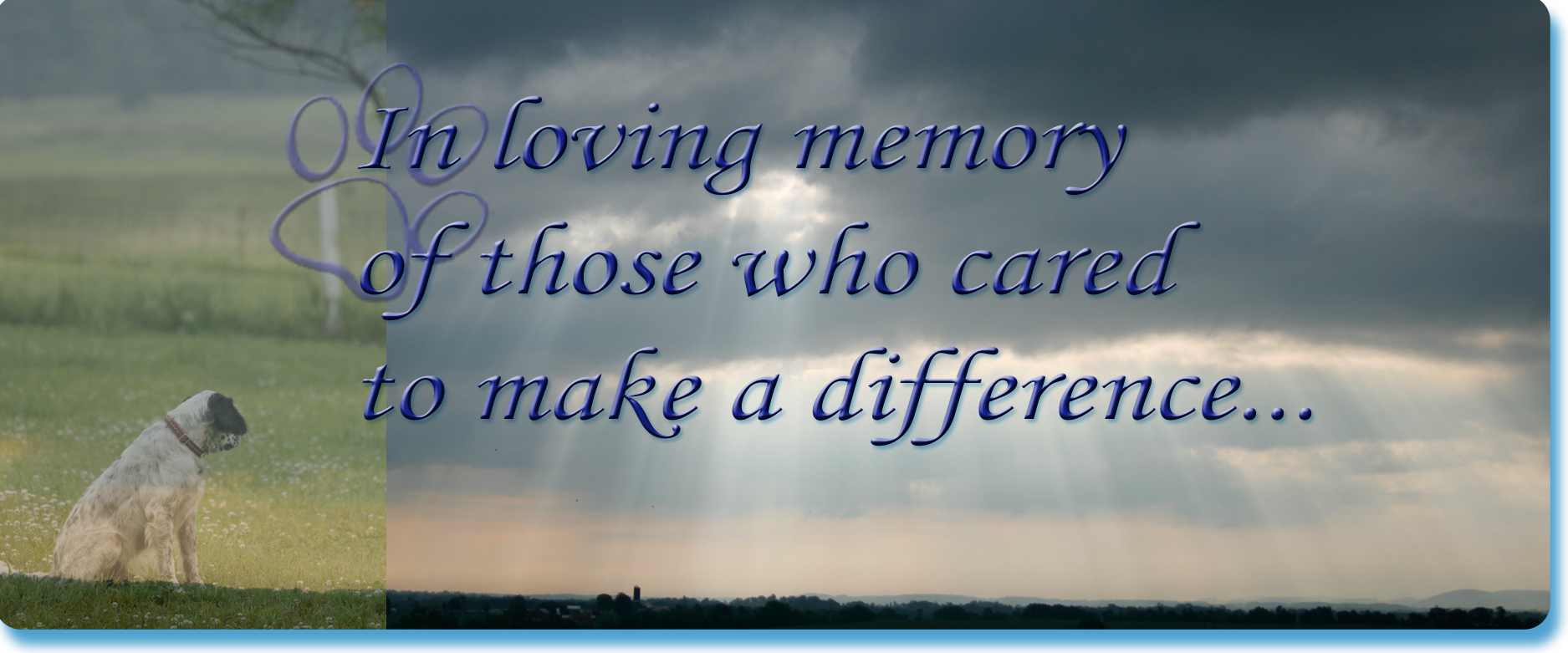 in memory pictures in memory pictures